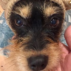 Meet your Posher, Nancy